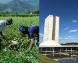 CNA defende derrubada de vetos em projetos do agronegócio no Congresso