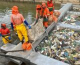 Deputado federal solicita remoção de ecobarreiras em Manaus