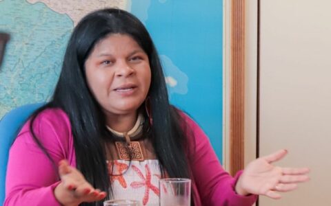 Ministra defende que participação indígena na COP-30 seja histórica