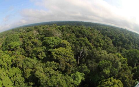 Amazônia