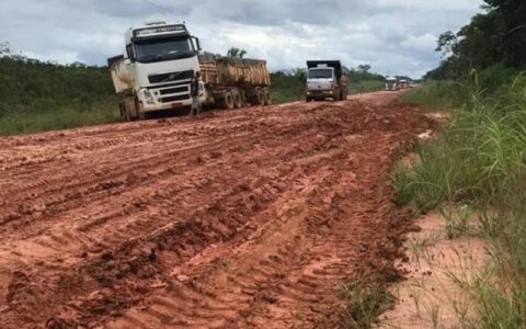 Obra da BR-319 precisa atender necessidade da população, aponta ambientalista