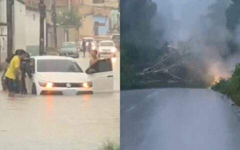 Vídeo: chuva causa alagações e tombamento de árvore