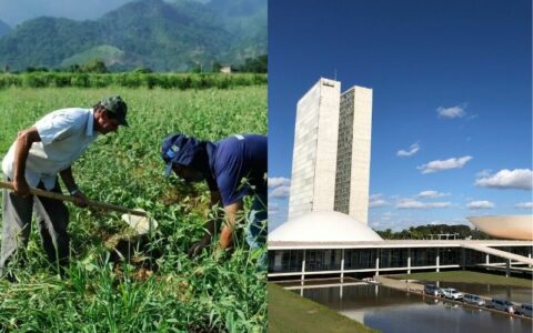 CNA defende derrubada de vetos em projetos do agronegócio no Congresso