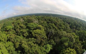 Amazônia