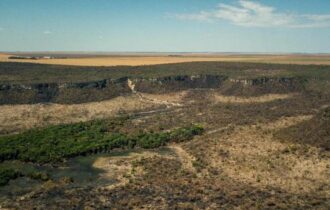 Cobertura florestal mundial perde 3,7 milhões de hectares em 2023