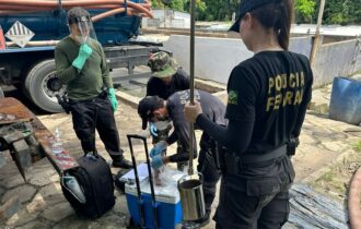 Operação PF,crimes ambientais, Amazonas