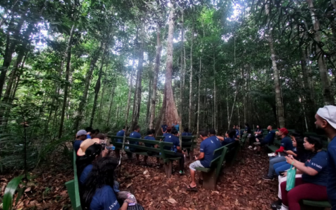 Comunidades tradicionais de Iranduba recebem capacitação em turismo sustentável