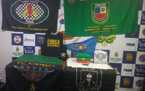 Apreensão