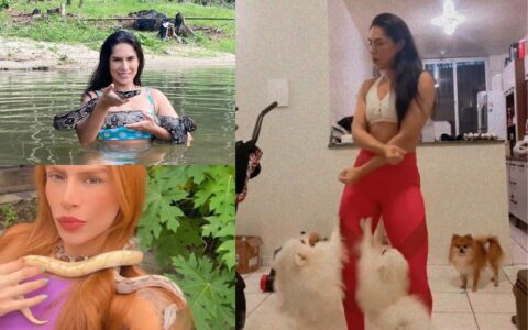 Cães e serpentes de Djidja Cardoso estariam sendo drogados e usados em rituais