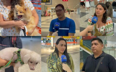Transporte de animais em cabine de avião e o conflito com pessoas alérgicas