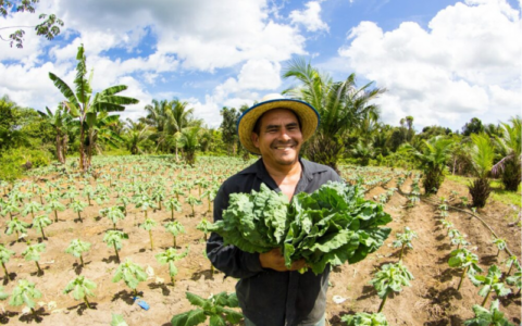 Agricultores que tiveram perdas na última estiagem recebem apoio do Governo do AM