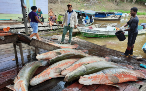 Governo do Amazonas investe em ações de conservação da Bacia Amazônica