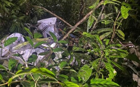 Três pessoas morrem em queda de avião no Pará