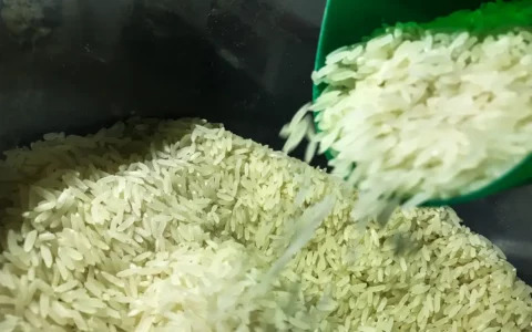 arroz