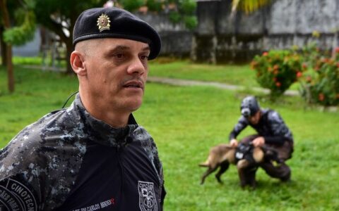 Segurança pública: Cães de policiamento auxiliam no combate ao crime organizado no Amazonas