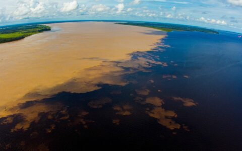 encontro das águas em manaus