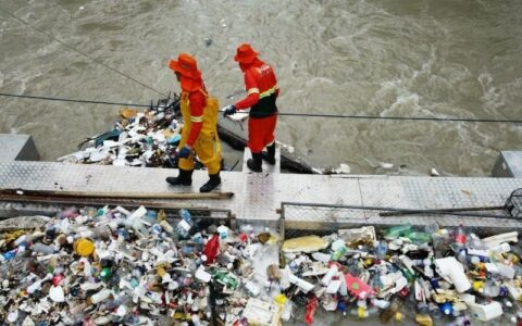 Ecobarreiras