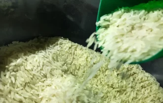 arroz