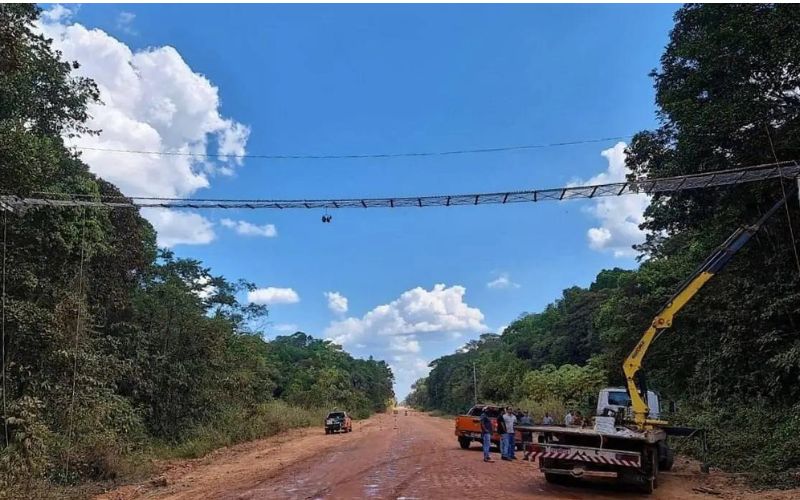 cercas e passagens para animais na BR-319