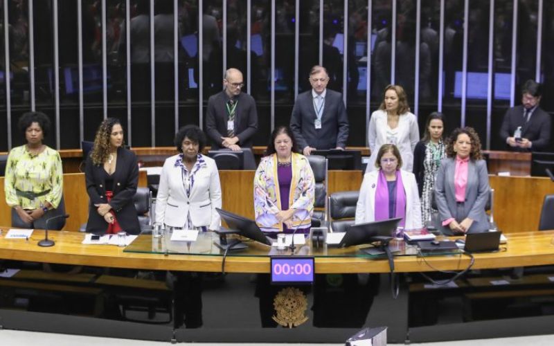 Observatório lança painel sobre participação feminina na Câmara dos Deputados