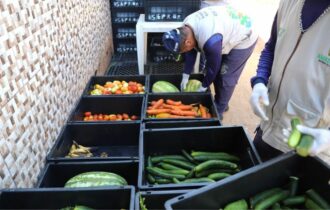 Programa para combater o desperdício de alimentos chega a 68 toneladas de doações