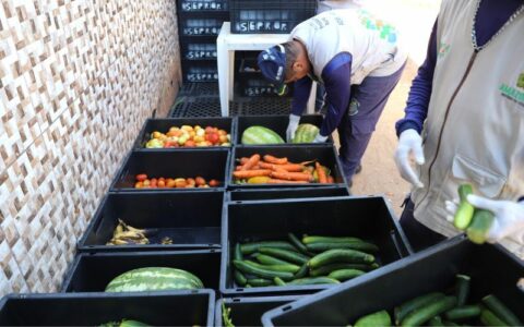 Programa para combater o desperdício de alimentos chega a 68 toneladas de doações