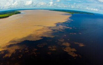 Fapeam é a 5ª agência de fomento no mundo que mais investe em pesquisas sobre a Amazônia