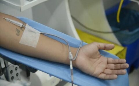 Dia Mundial do Doador de Sangue: saiba mais sobre a doação regular