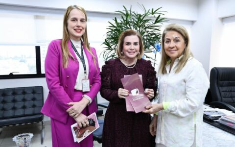 TCE-AM e TJ-AM alinham ações de proteção à mulher