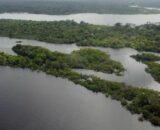 Justiça suspende homologação de blocos exploratórios de petróleo no Amazonas