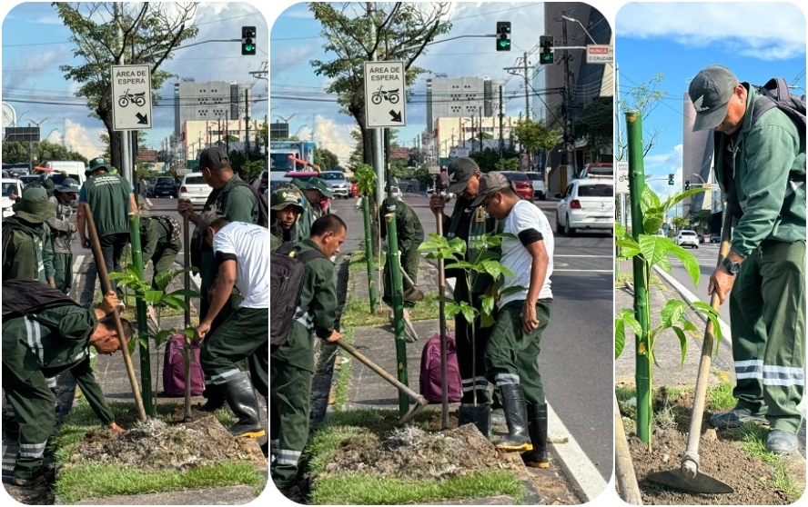 Prefeitura de Manaus realiza arborização e plantio em canteiro central da Djalma Batista