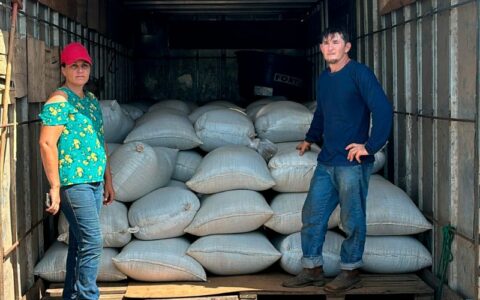 Produtora rural de Apuí vende quase 17 toneladas de café para a 3 Corações