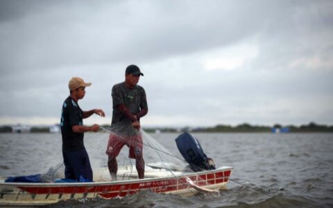 Fapeam recebe propostas de pesquisadores ao Programa Jovem Cientista na Pesca Artesanal