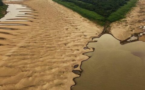 A cota tem reduzido 25 cm por dia e chegou, nesta quarta-feira (4), a 19,01 m, ou seja, 2,50 m abaixo do intervalo da normalidade para a época Foto: (Inpa/divulgação)