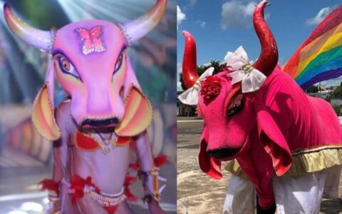 Parintins ganha representatividade com bois Boiola e Rasgadinho na abertura de festival