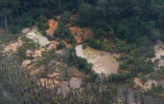 Brasil tem desafio de saber quantos garimpeiros atuam no país