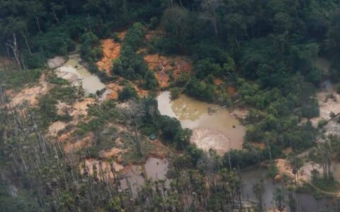Brasil tem desafio de saber quantos garimpeiros atuam no país