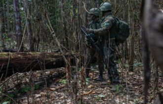 Garimpo ilegal: alerta em terra indígena Yanomami registra queda de 73%