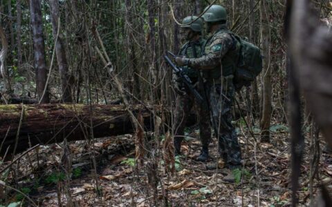 Garimpo ilegal: alerta em terra indígena Yanomami registra queda de 73%