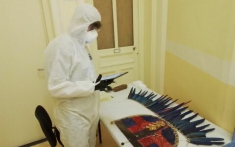 Peças indígenas retidas na França voltam ao Brasil após atuação do MPF