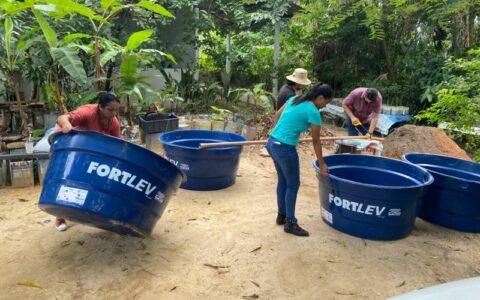 Pesquisa promete multiplicar produção de tambaqui no Amazonas