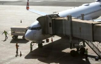 Comissão do governo vai definir regras para transporte aéreo de pets