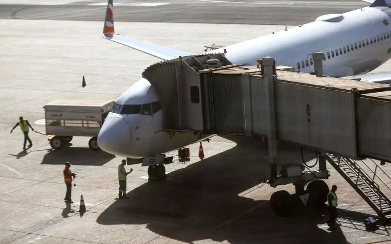 (Foto: Marcelo Camargo/Agência Brasil) Comissão do governo vai definir regras para transporte aéreo de pets