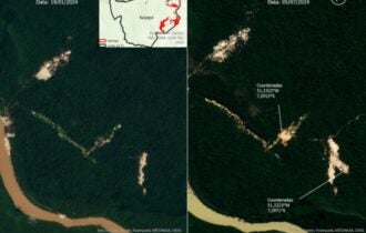 Em 2024, garimpo já devastou 584 campos de futebol em terras indígenas da Amazônia