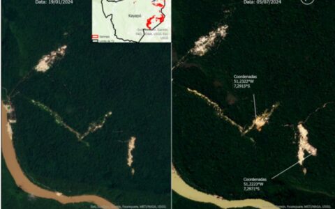 Em 2024, garimpo já devastou 584 campos de futebol em terras indígenas da Amazônia