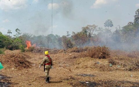 Nas últimas 24 horas, Corpo de Bombeiros combateu 70 focos de incêndio em Manicoré