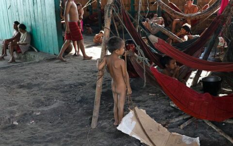 Promulgada lei que libera R$ 1,62 bilhão para proteção de território ianomâmi