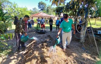 Mecanização e compostagem amenizam efeitos da estiagem na produção agrícola