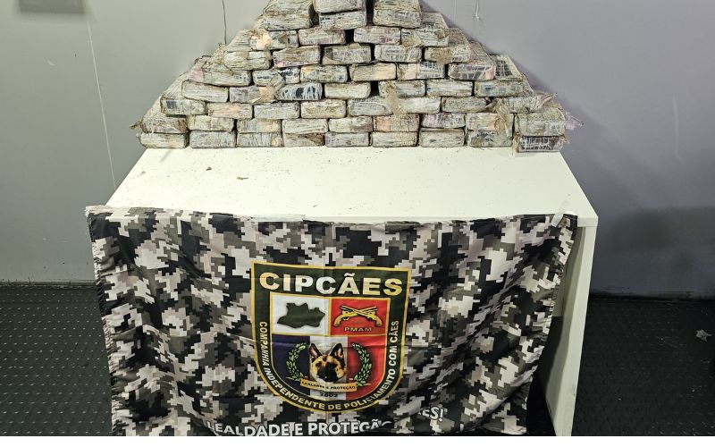 operação, Arpão