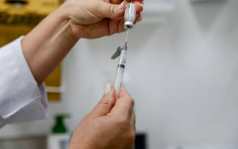 Estratégia de combate ao mosquito da dengue com larvicida vira política nacional